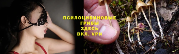 соль ск Алексеевка