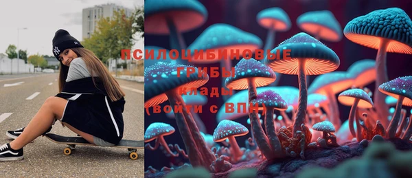 дживик Абаза