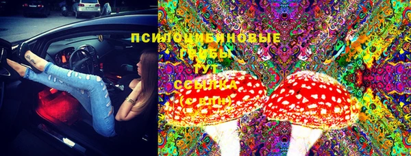 экстази Болотное