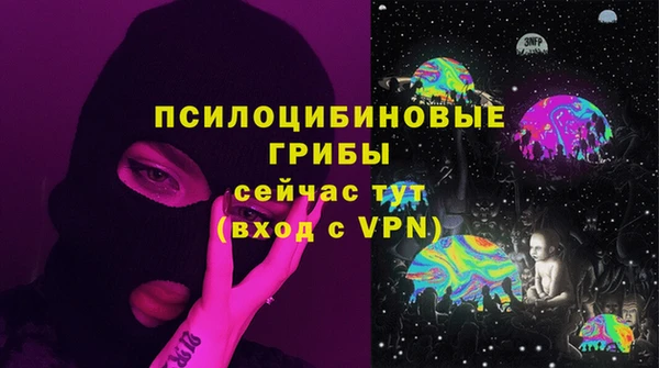 соль ск Алексеевка