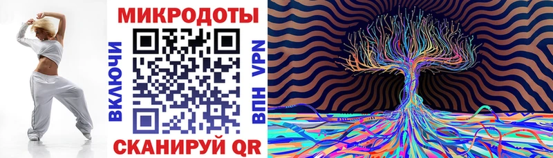 Галлюциногенные грибы Psilocybe  МЕГА сайт  Черногорск  дарнет шоп 